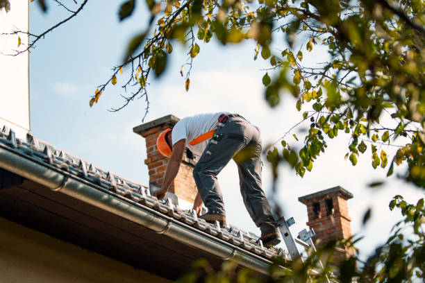 Roof Gutter Cleaning in High Rolls, NM