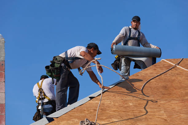 Best Roof Repair Services  in High Rolls, NM